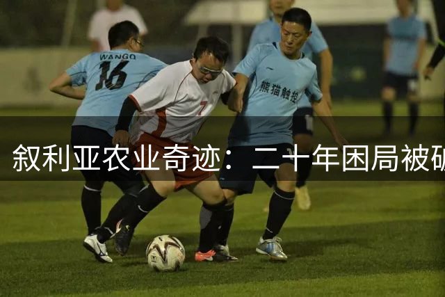 叙利亚农业奇迹：二十年困局被破 小麦自给终实现