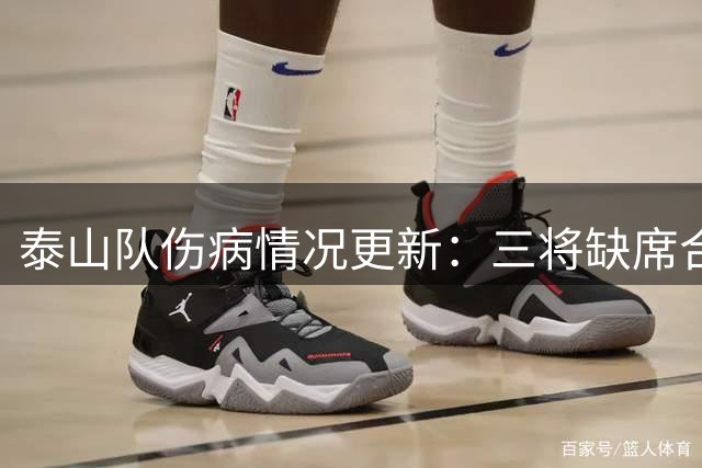 泰山队伤病情况更新：三将缺席合练 李源一复出参训